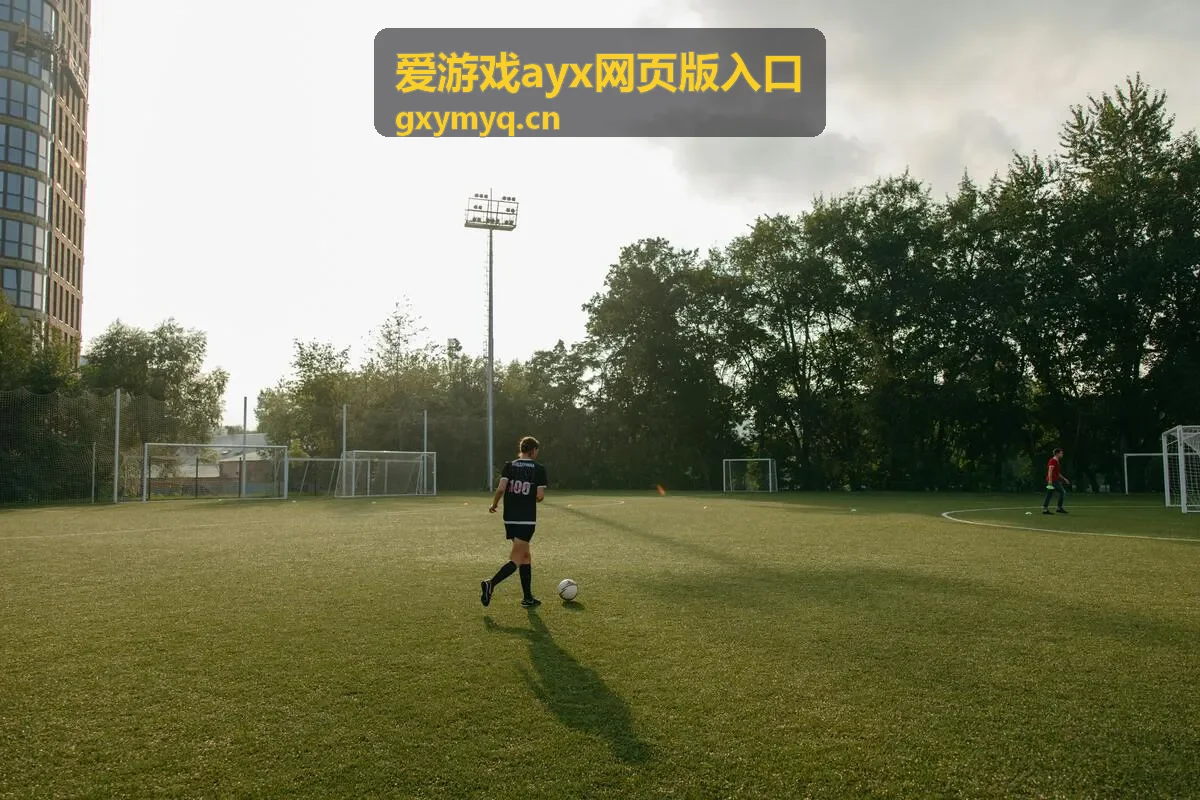 爱游戏ayx网页版多线路切换操作